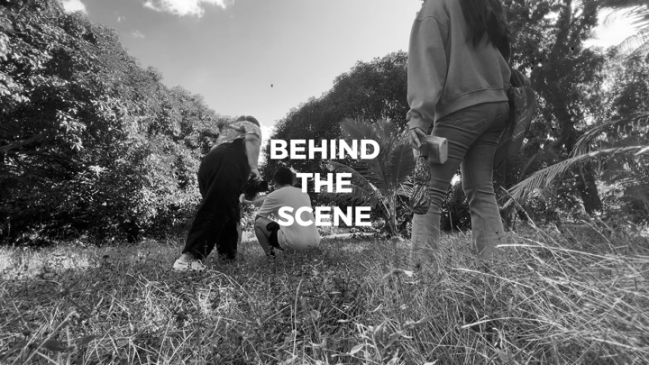 BTS 