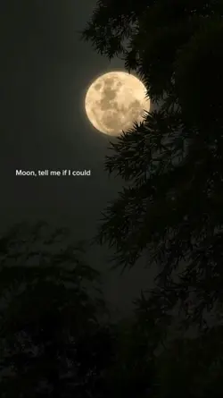 MOON TELL ME IF I