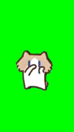 viral cat dancing