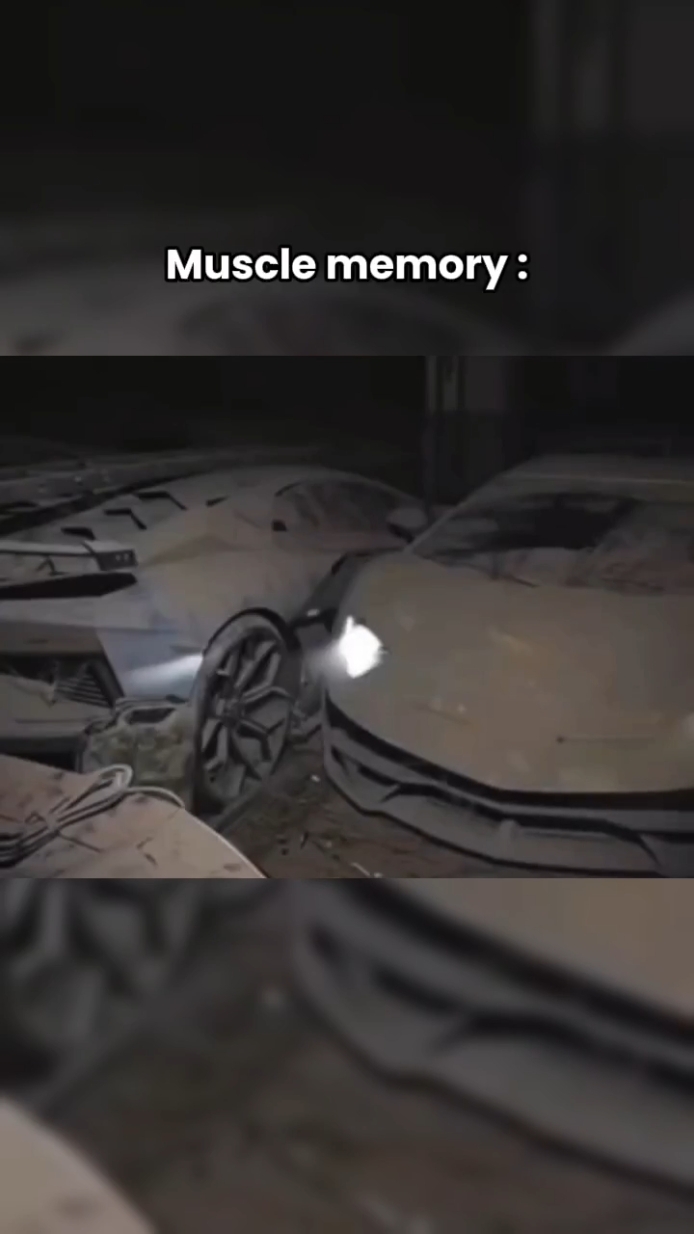 muscle memory