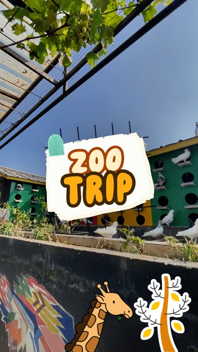 Zoo Trip HD
