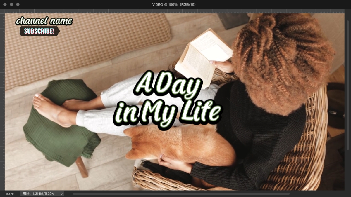 dayli intro