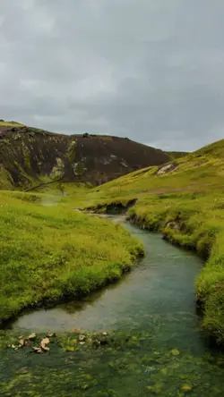 setengahmati merindu