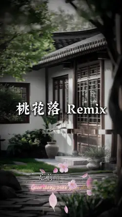 桃花落 Remix