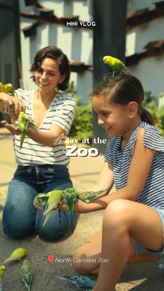 a day at the zoo
