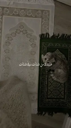 nasheed