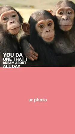 trend monyet bertiga