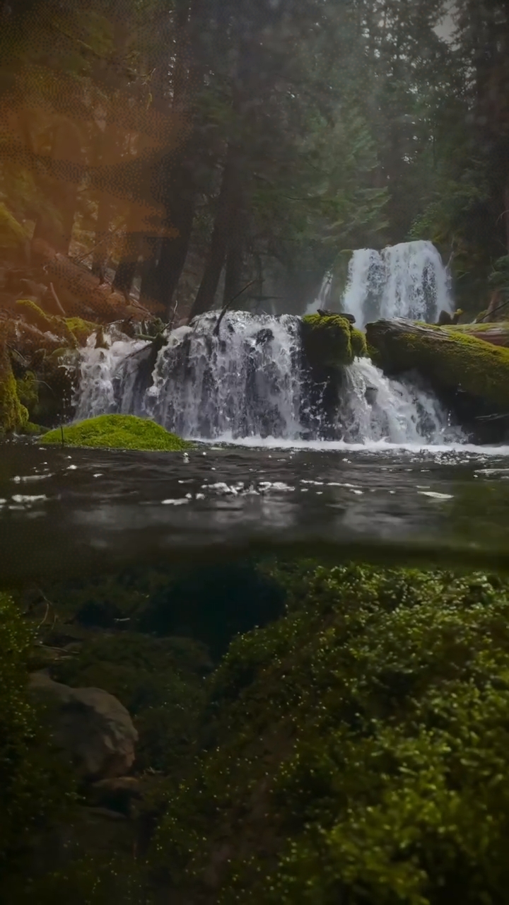 5Vidio cinematográfico