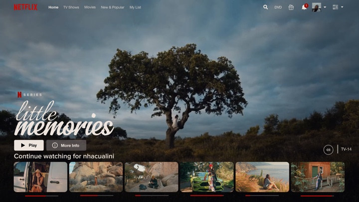 Modelo Netflix novo