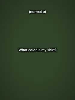 What color my shirt 