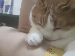 謎のエラーコード??