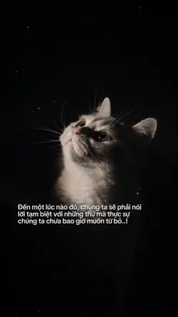 Caption & Màu