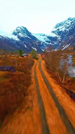 Photos or Videos