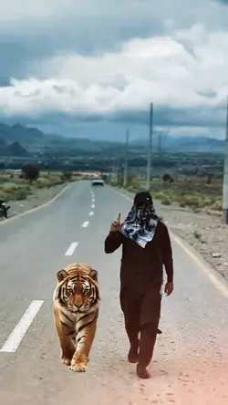Tiger Beground Viral