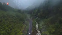 Rakım yükseldikçe 💐