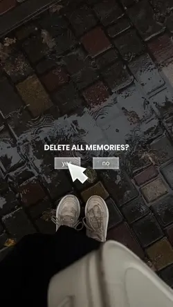 Delete all memories