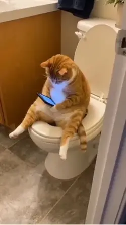 搞笑