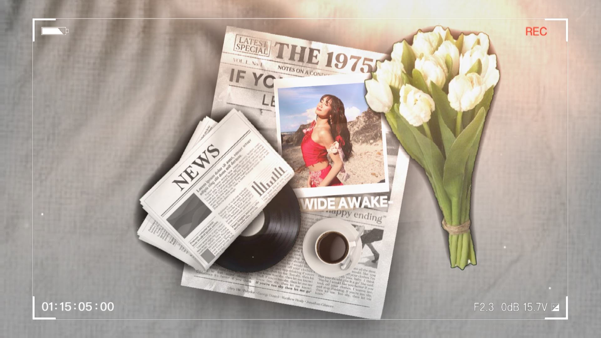 Cover Picture