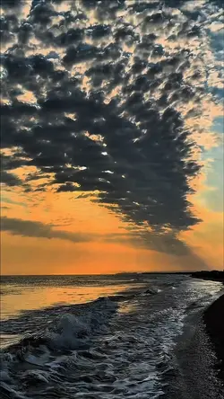 Yeni Şablon 😍