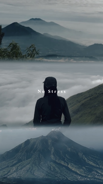 No Stress 