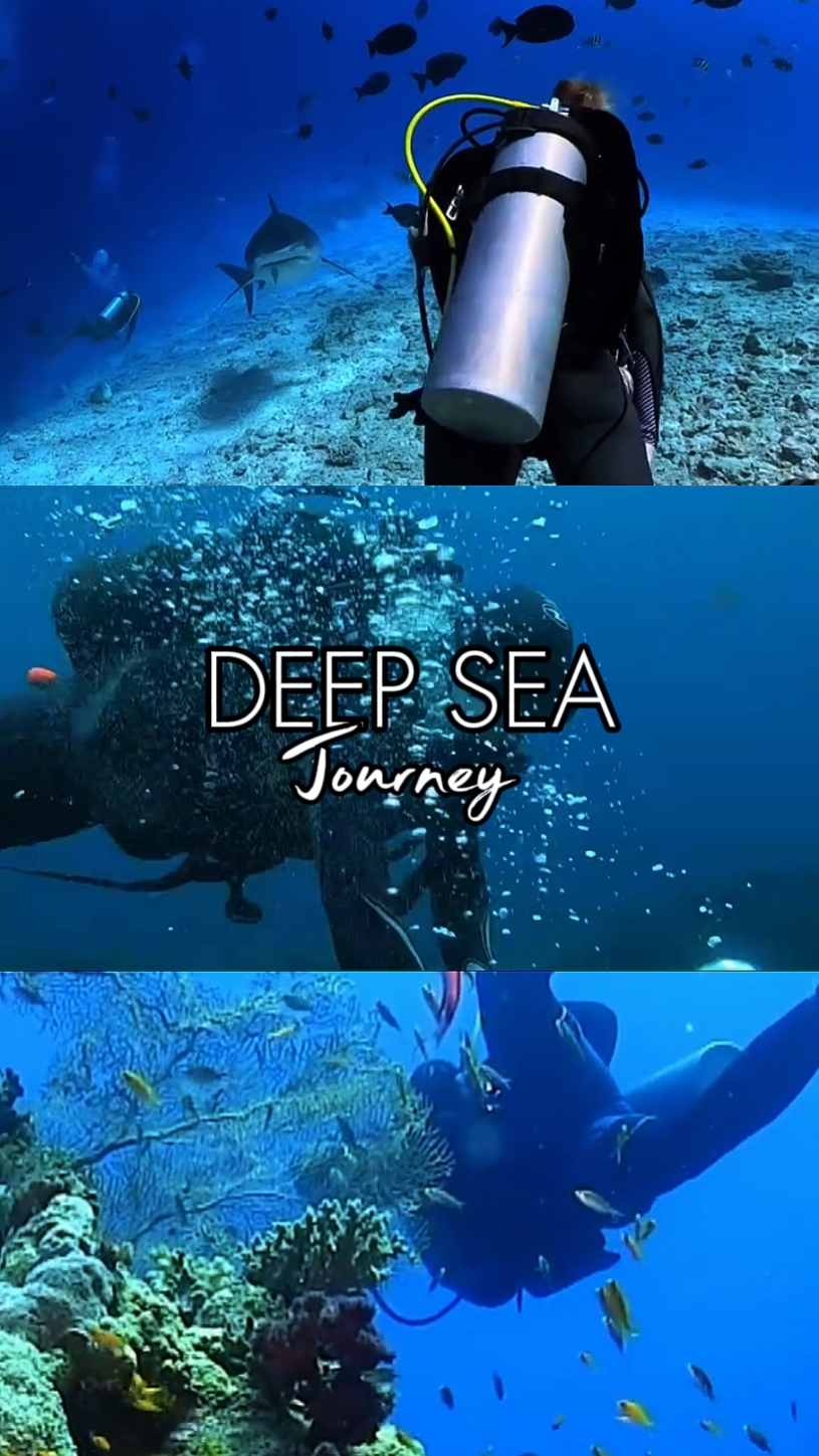 Deep Sea Journey 
