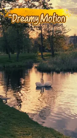 > “Dreamy Motion