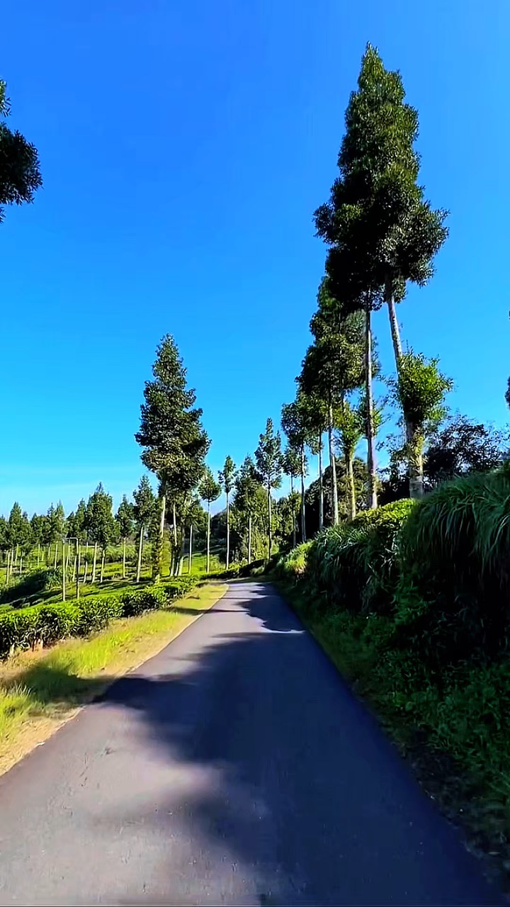 8 video HD travel