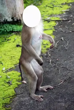 เอาไว้แกล้งเพื่อน