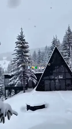 winter wonderland >