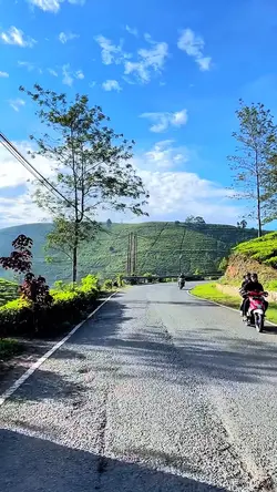 3 video hd 