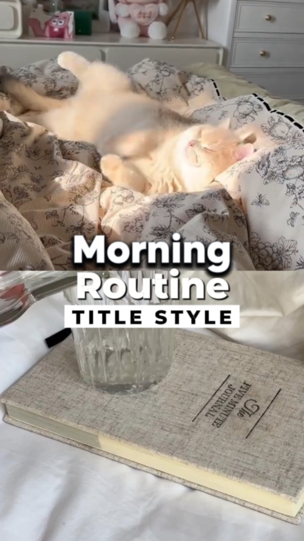 Rotina Matinal