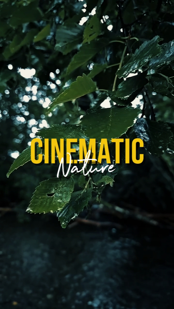 CINEMATIC NATURE