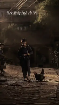 Captions & màu
