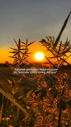 Susmalar |