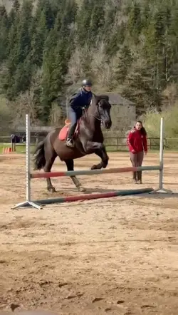 horse slowmo