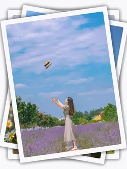 15PicFrame Aesthetic