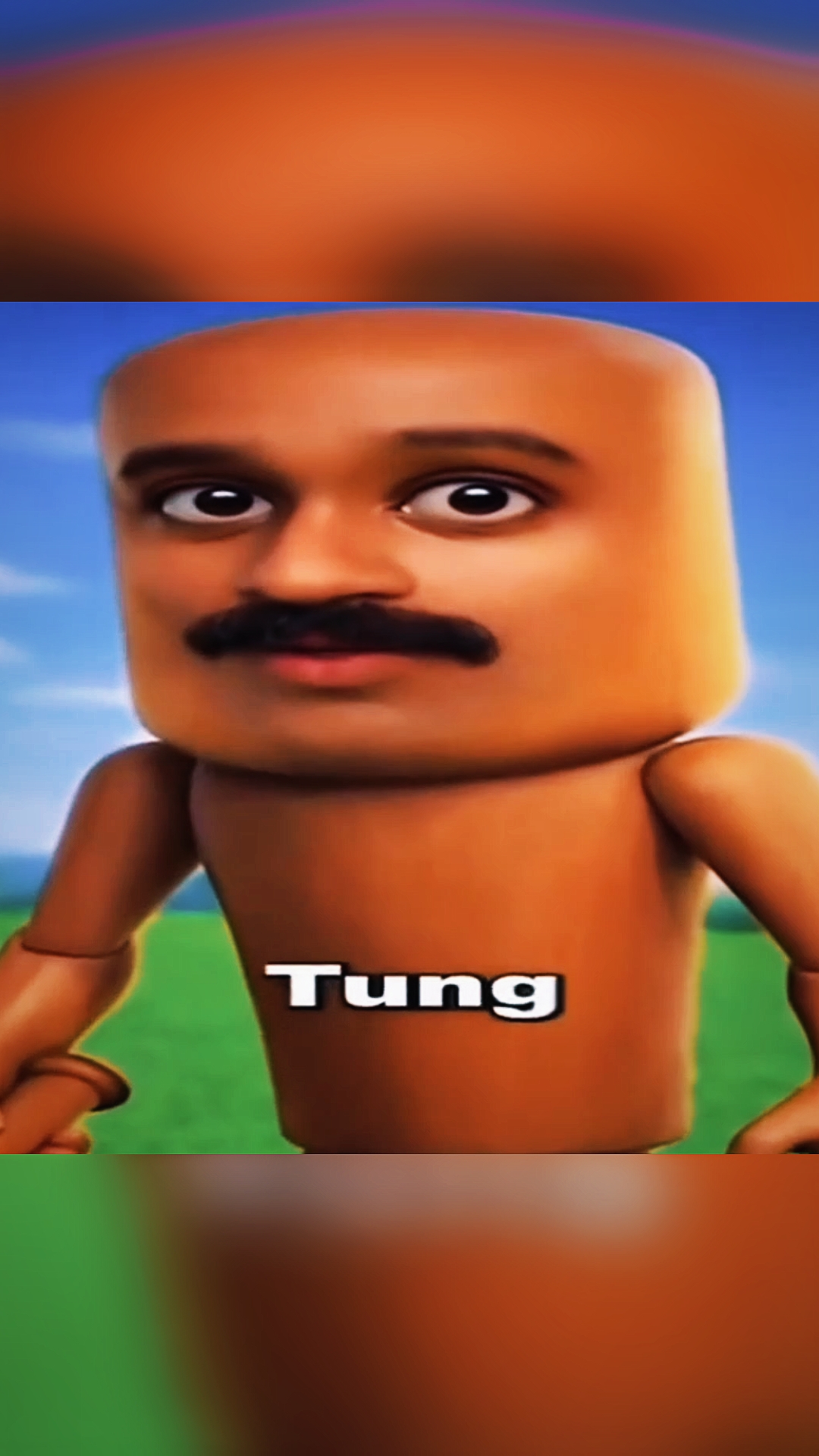 THE TUNG TUNG FUNK 