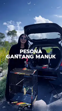 Pesona gantang manuk