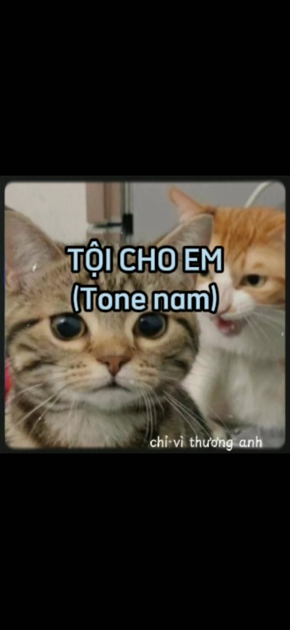 TỘI CHO EM