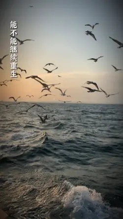 Đừng để tình yêu 