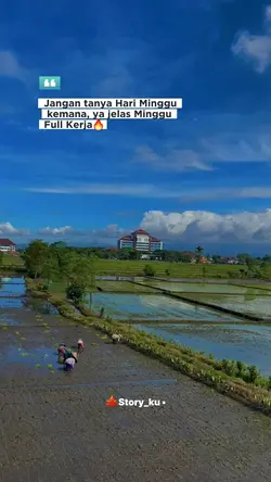 Story Hari Minggu