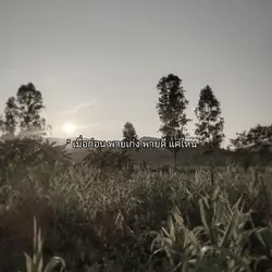 พายเก่ง พายดี แค่ไหน