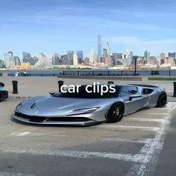 clips