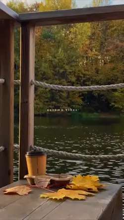 autumn vibes