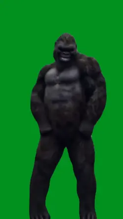 ape dance