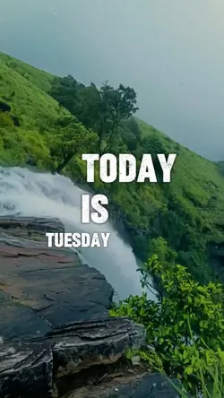 Today is Tuesday God