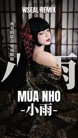 Mưa Nhỏ - 小雨