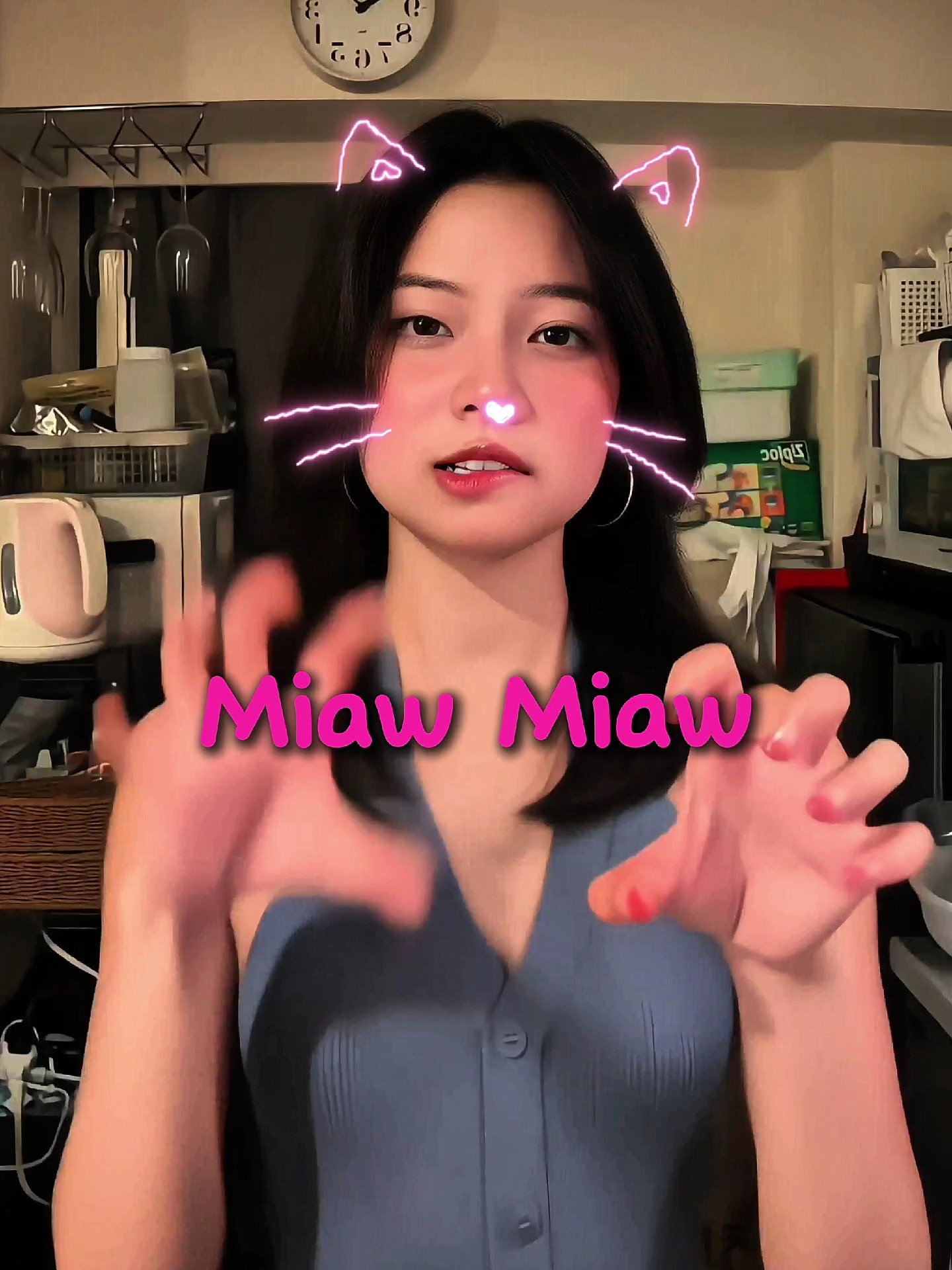 Montagem Miau