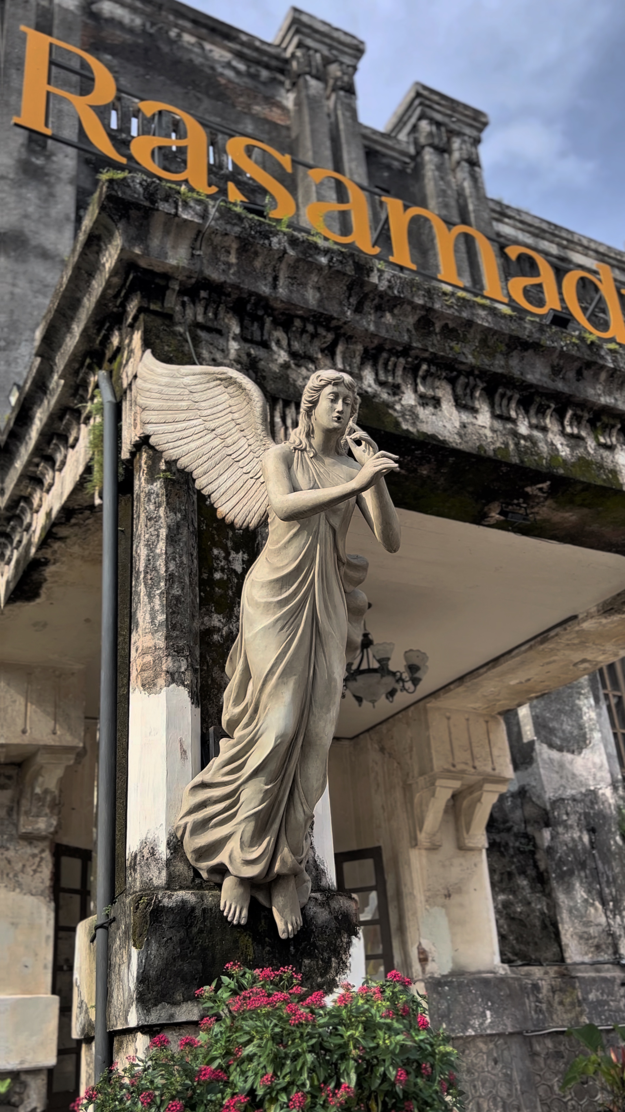 Cover Picture