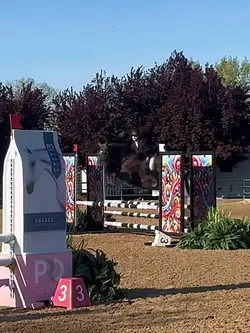 not real! dangerous!